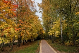 Парк «Соловьиная роща»
